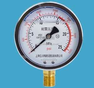耐震压力表YN-100气压表亿川高新